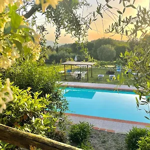  Bed and breakfast Alloro